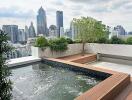 Rooftop pool with city skyline view