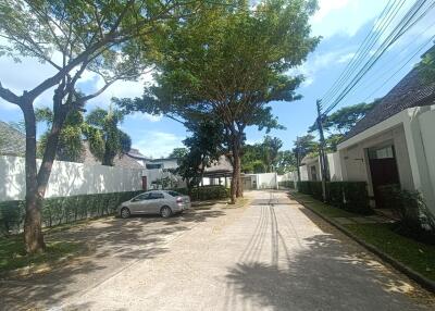 Driveway with trees and a parked car