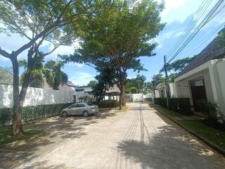 Driveway with trees and a parked car