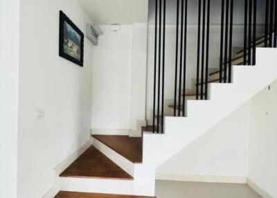 Modern staircase with wooden steps and minimalist design