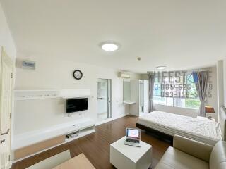 Bright and modern studio apartment with wooden flooring, bed, sofa, wall-mounted TV, and large window.