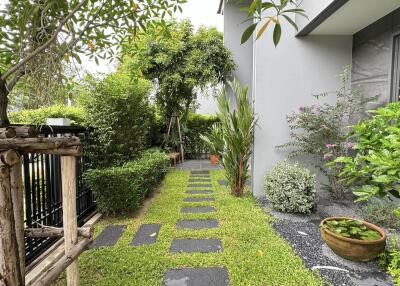 Beautiful garden with greenery and stone pathway