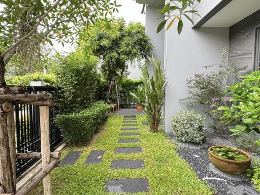 Beautiful garden with greenery and stone pathway