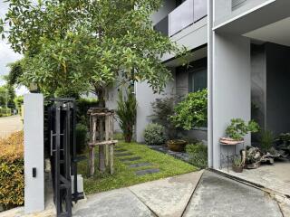 modern house exterior with garden