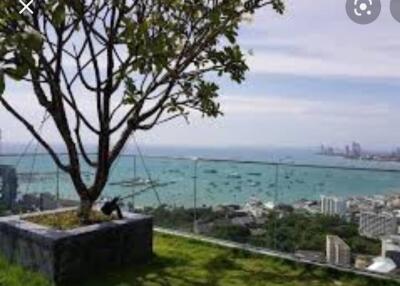 Rooftop garden with scenic ocean view