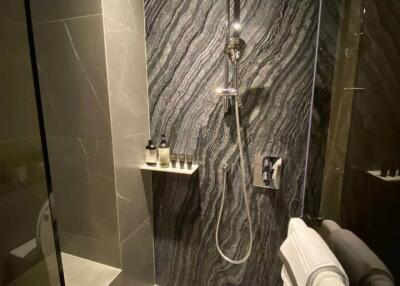 Modern bathroom with shower