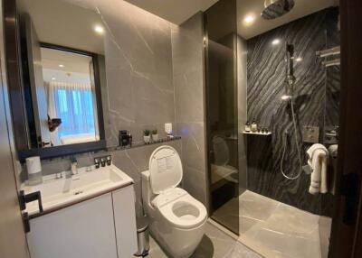 Modern bathroom with toilet, sink, and walk-in shower