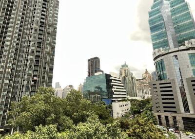 City skyline view with trees in the foreground