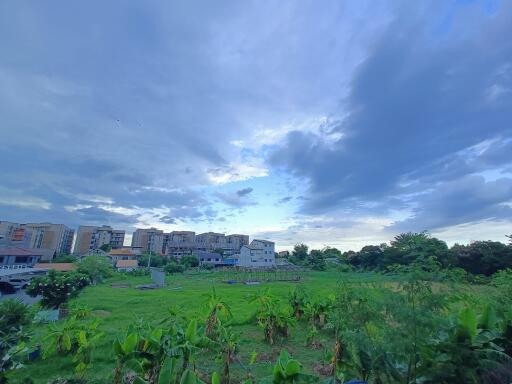 View of surroundings with green open space and distant buildings