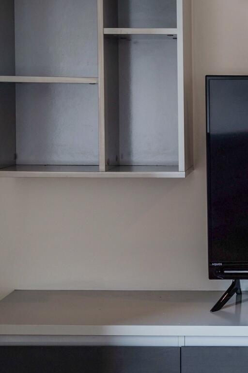 TV area with shelves