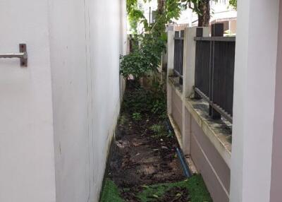 Narrow outdoor pathway