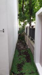 Narrow outdoor pathway