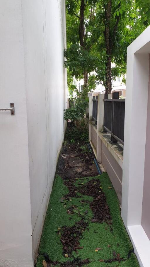 Narrow outdoor pathway