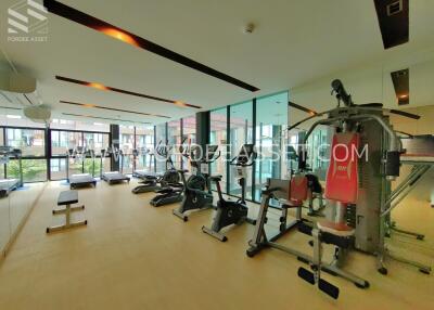 Spacious and modern gym with various fitness equipment and large windows