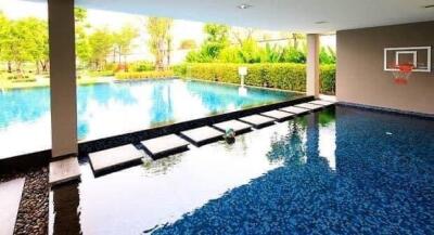 Swimming pool with stepping stones, surrounded by greenery and a basketball hoop