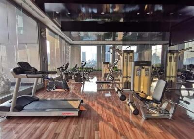 Luxurious home gym with modern equipment and city view