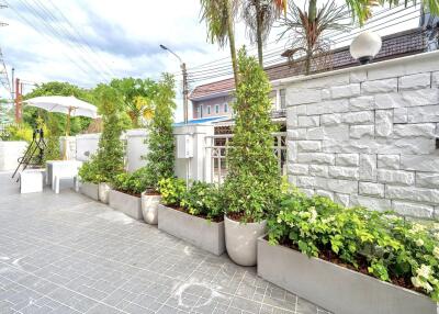 leafy and spacious outdoor area with potted plants and seating