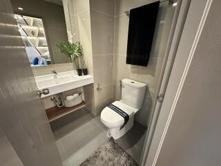 Modern bathroom with a sink, toilet, and decor