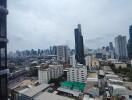 City skyline view with several high-rise buildings and apartments