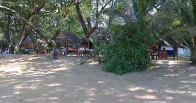 Beachfront property with huts and lush greenery