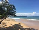 Pristine beach with clear skies and gently waving sea