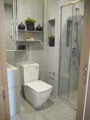 Modern bathroom with shower and toilet