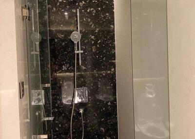 Modern shower with dark tile