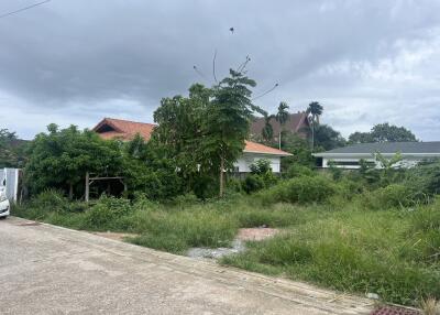 Outdoor view of a residential neighborhood with houses surrounded by vegetation