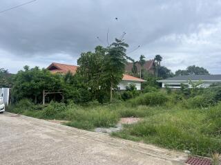 Outdoor view of a residential neighborhood with houses surrounded by vegetation