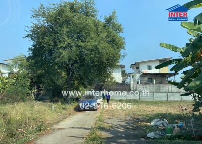 view of a road leading to a house with greenery