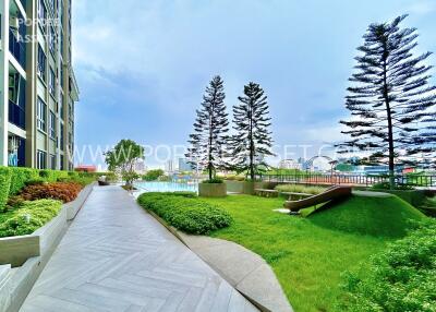 Outdoor garden area with greenery and path