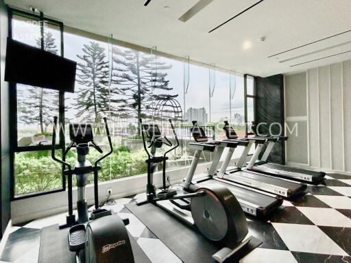 Bright and modern gym with exercise equipment and large windows