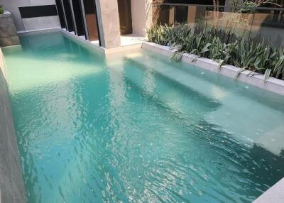 Swimming pool in the outdoor area