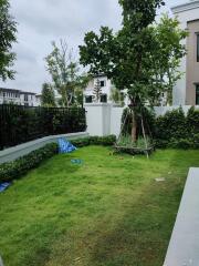 View of a yard with grass, trees, and surrounding buildings