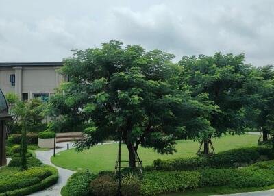 View of landscaped garden area with trees and pathways