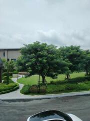 View of landscaped garden area with trees and pathways