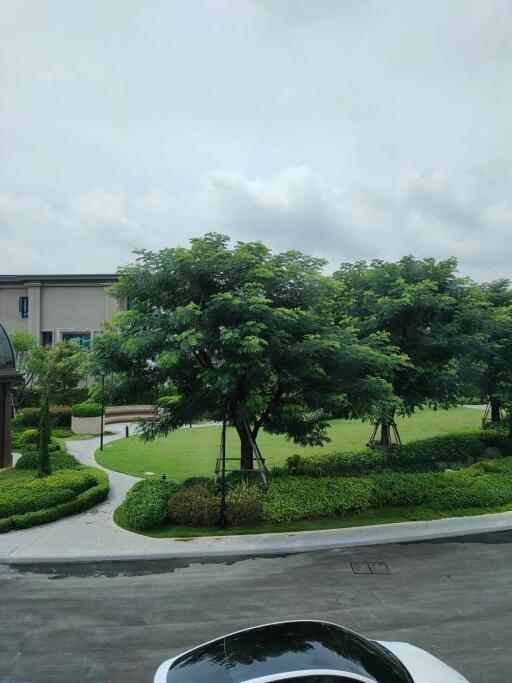 View of landscaped garden area with trees and pathways