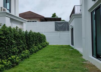 Well-maintained grassy yard between buildings with trimmed hedges