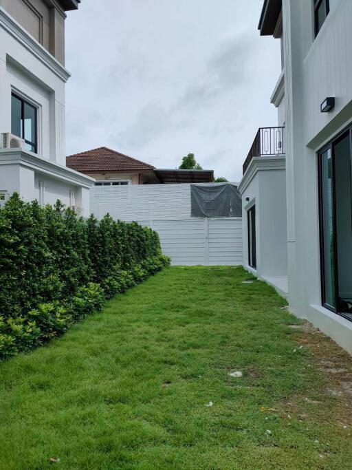 Well-maintained grassy yard between buildings with trimmed hedges