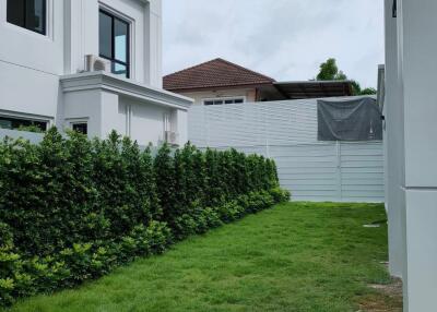 Side yard with grassy area and adjacent buildings