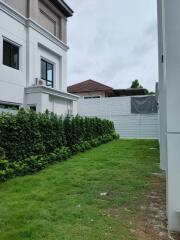 Side yard with grassy area and adjacent buildings