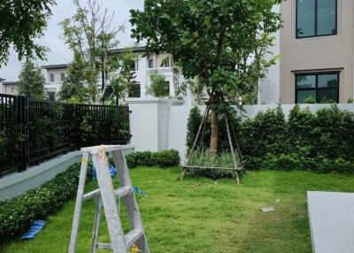 Backyard with a ladder and a newly planted tree