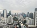 View of city skyline from building window