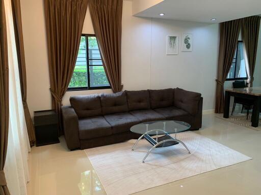 Bright living room with brown curtains, a dark brown sofa, and glass coffee table