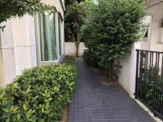 Pathway beside the building with greenery