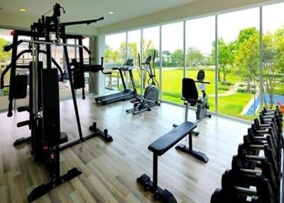 Well-equipped gym with modern fitness machines and large windows