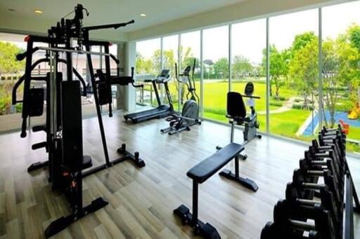 Well-equipped gym with modern fitness machines and large windows