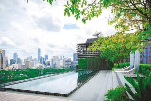 Modern rooftop pool with city skyline view