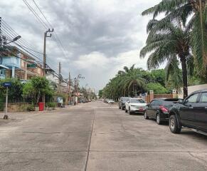 Quiet residential street with parked cars