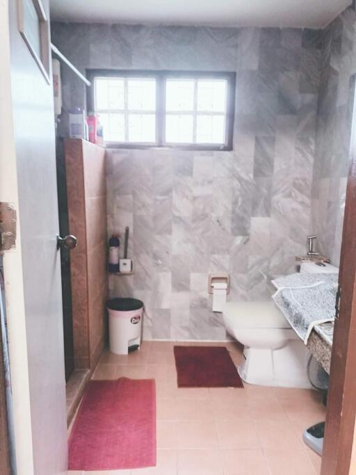 Modern bathroom with tiled walls and natural light